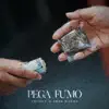 Trunfo - Pega Fumo (feat. Fred Kuker) - Single